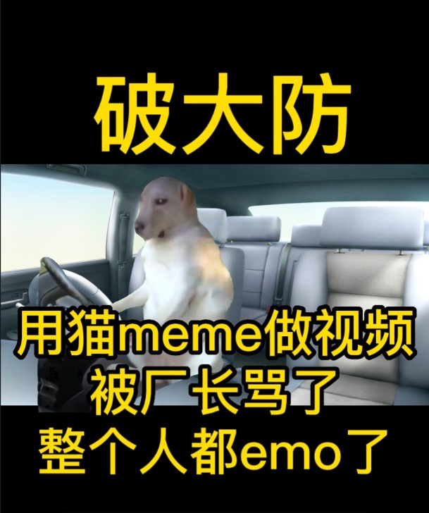 关于我用猫meme做宣传视频被厂长骂破防这件事