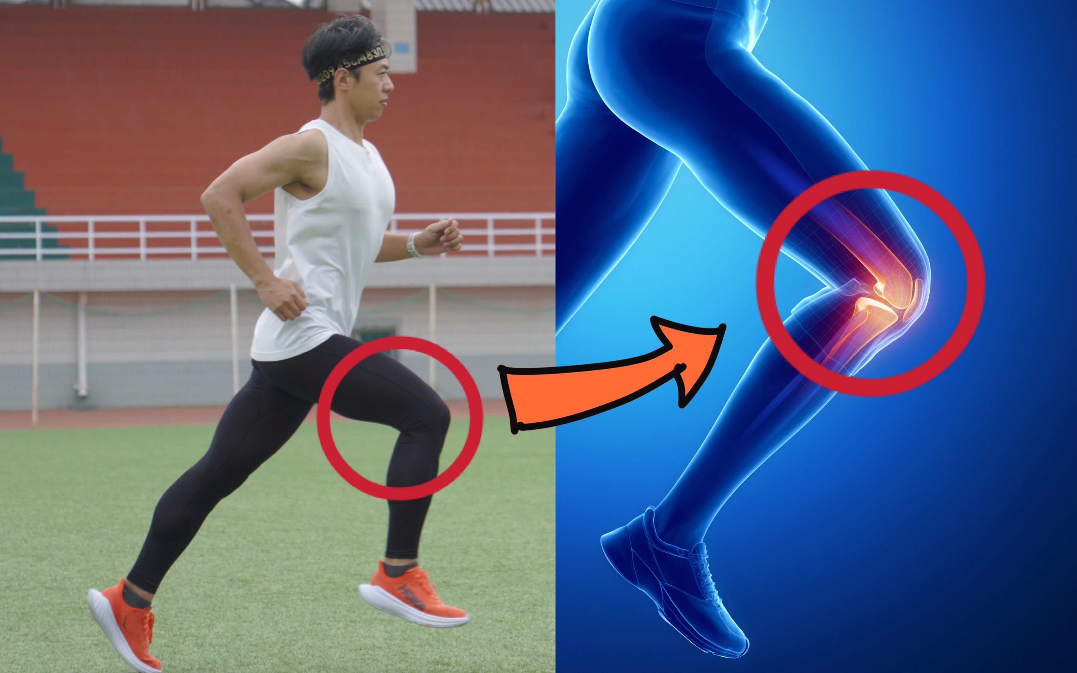每天跑5公里会不会伤到膝盖？什么样的方法可以让膝盖免受损伤？_膝关节