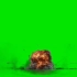 【绿幕素材】不同爆炸场景，蘑菇云，后期特效素材合集！