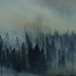 自然界不可或缺的森林火灾《我们的星球》