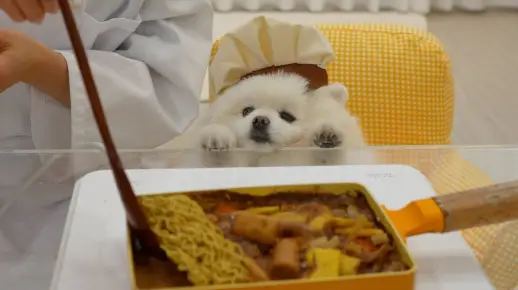 为狗狗准备好吃的炸酱年糕，你们也可以学起来哦