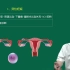 11-第10章病例分析05女性生殖系统