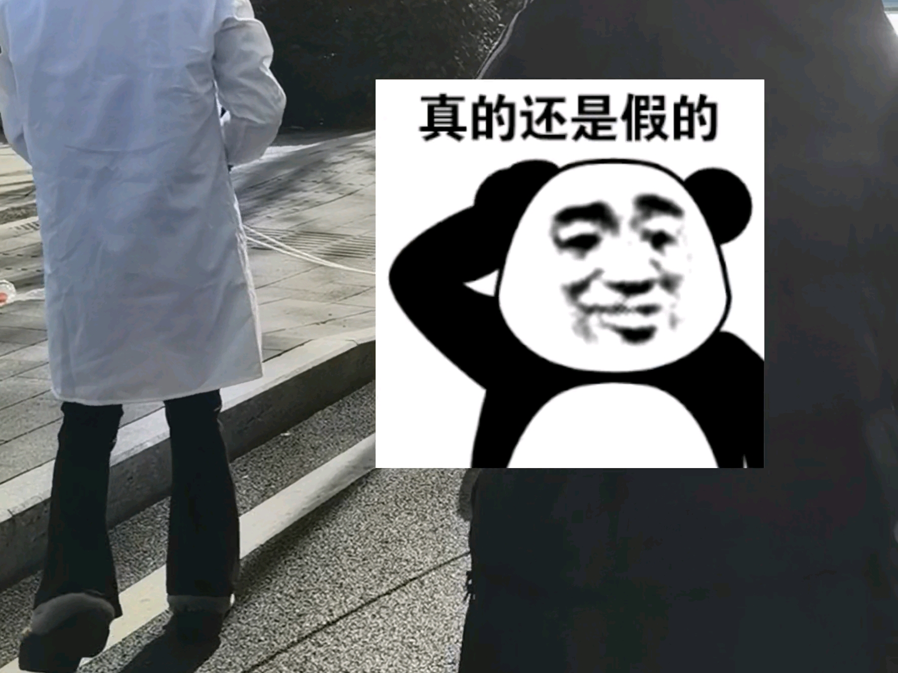 老师思考一夜终于同意我读博了#vlog #日常 #读研 #研究生