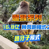 遛猴系列:解锁16.8亿种奔跑模式之路牙子模式