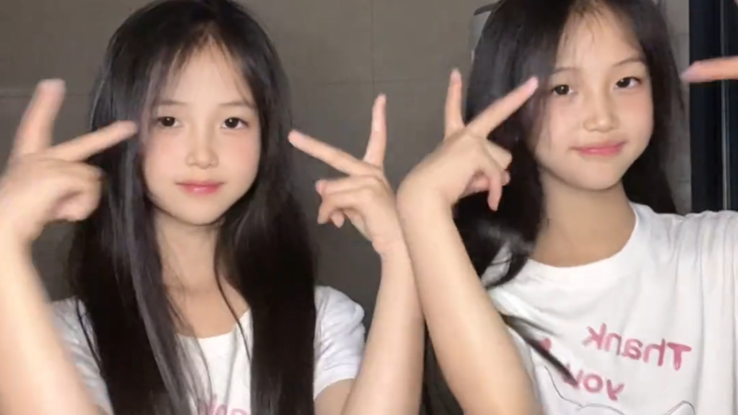 双胞胎