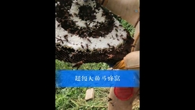 719b4324dfdbe1a856cf54fc1f0dff71b3328041.jpg@280w_158h_1c_100q.jpg