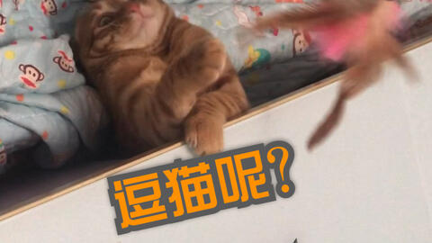 719b6fd8c55dad0e6ac27291786baaf934e9d548.jpg@480w_270h_1c