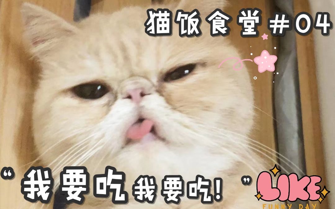搞笑日常