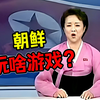 朝鲜人都玩什么游戏_游戏杂谈