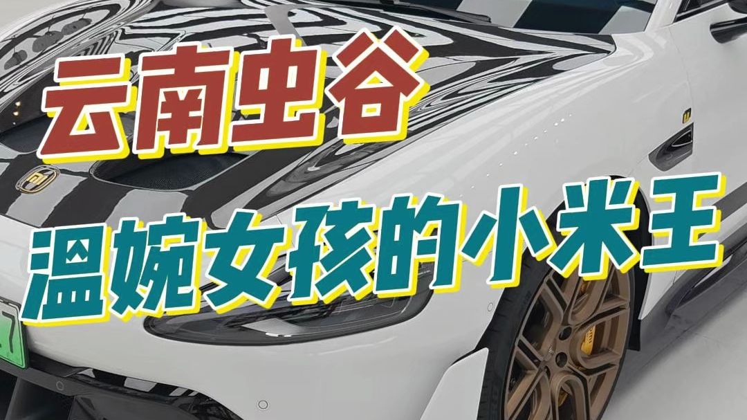 小米王来了，这么凶猛的座驾车主竟然是一位非常温婉的女孩，云南虫谷带回来的虫胶果然厉害，从外到内帮她一键恢复出厂状态#撸车日常 #su7 #洗车 #撸车 #解压