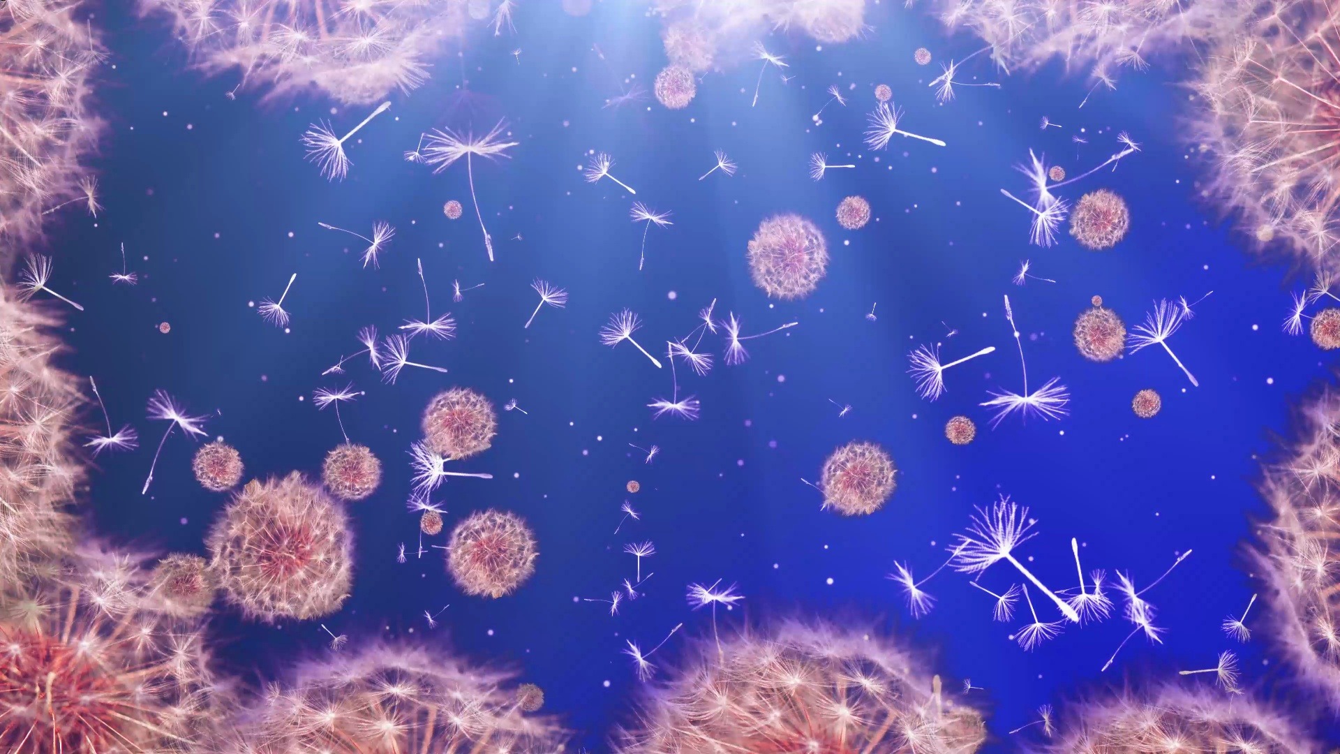 (yr5q)汪明荃万水千山总是情配乐4k唯美背景led视频