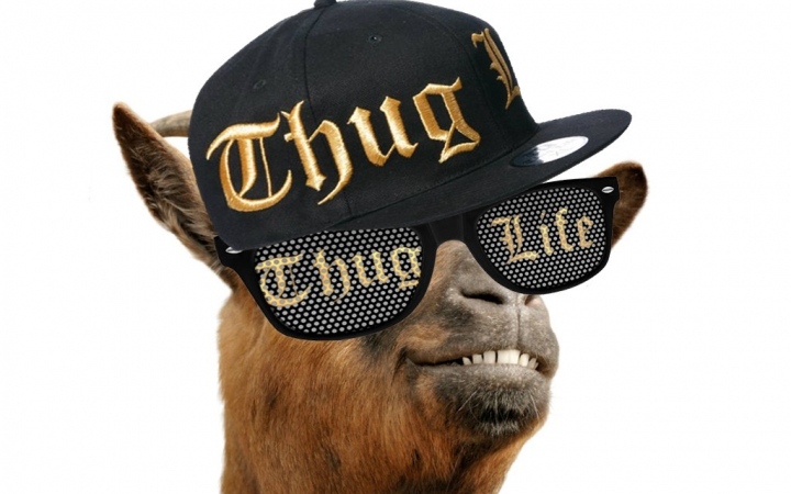 thug life,thug life 素材 【youtube】匪帮人生 thug life #3