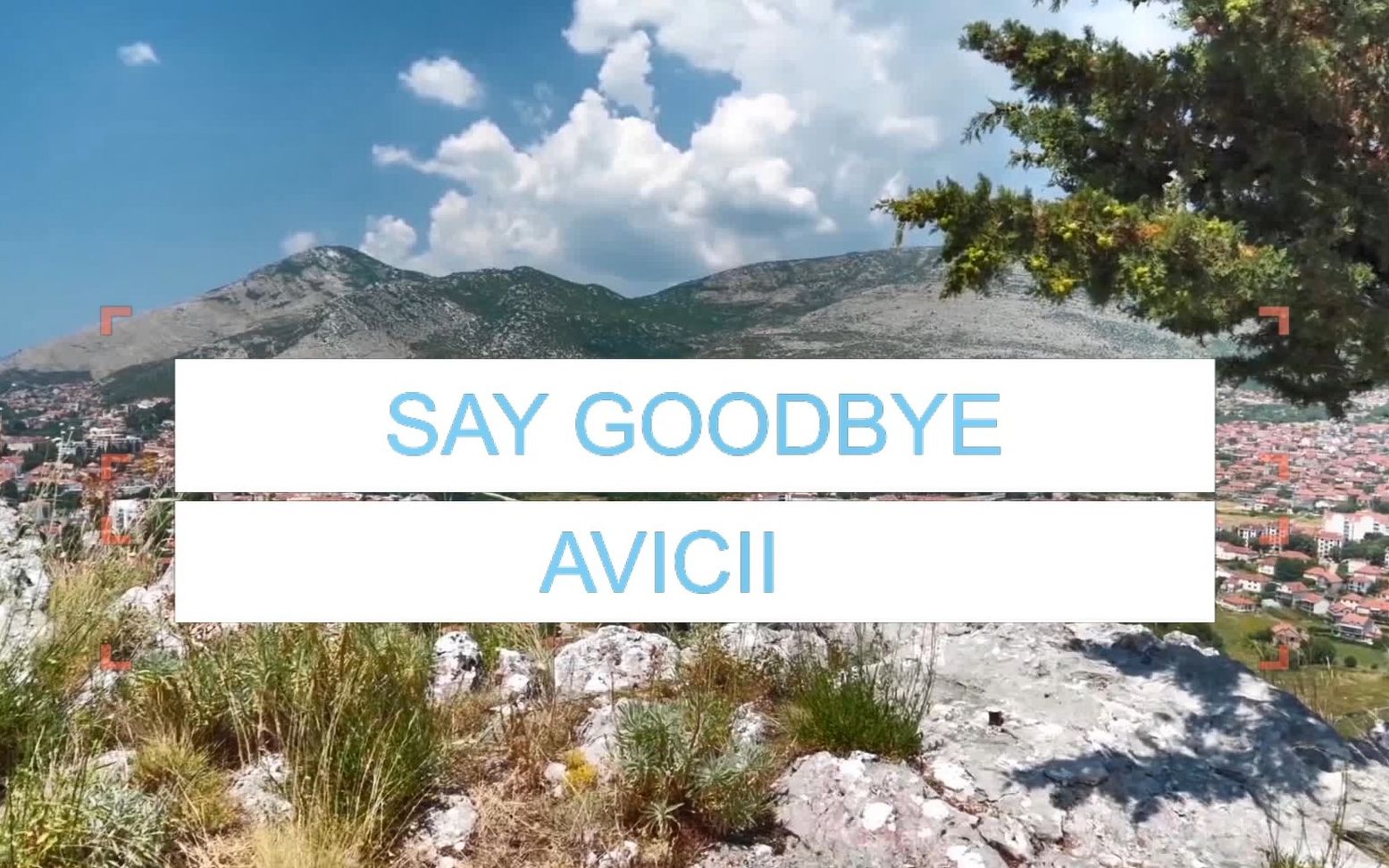 avicii未发行歌曲saygoodbye