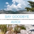 Avicii 未发行歌曲-Say Goodbye