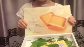 柳树姑娘儿歌简谱(5)