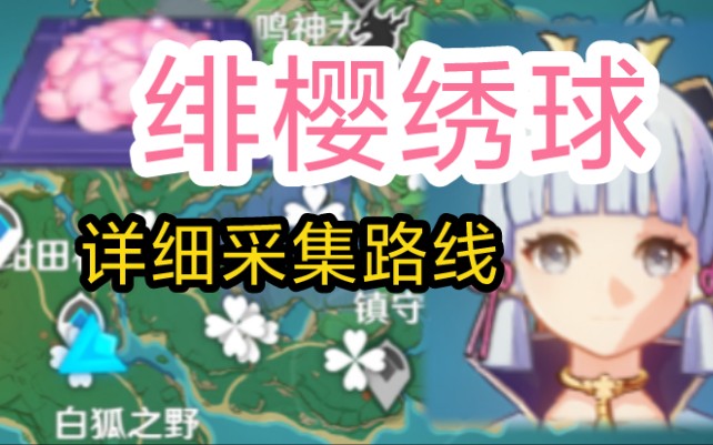 原神绯樱绣球采集路线超详细神里绫华突破材料绯樱秀球绯樱绣球采集