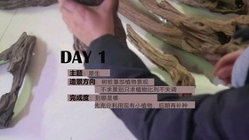 最后的前线2020电影 7258bc1b1f74f34520db6dcd7562daaf1d5ef206.jpg@280w_158h_1c_100q.jpg