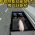 看看特斯拉能装几头猪飞跃断桥