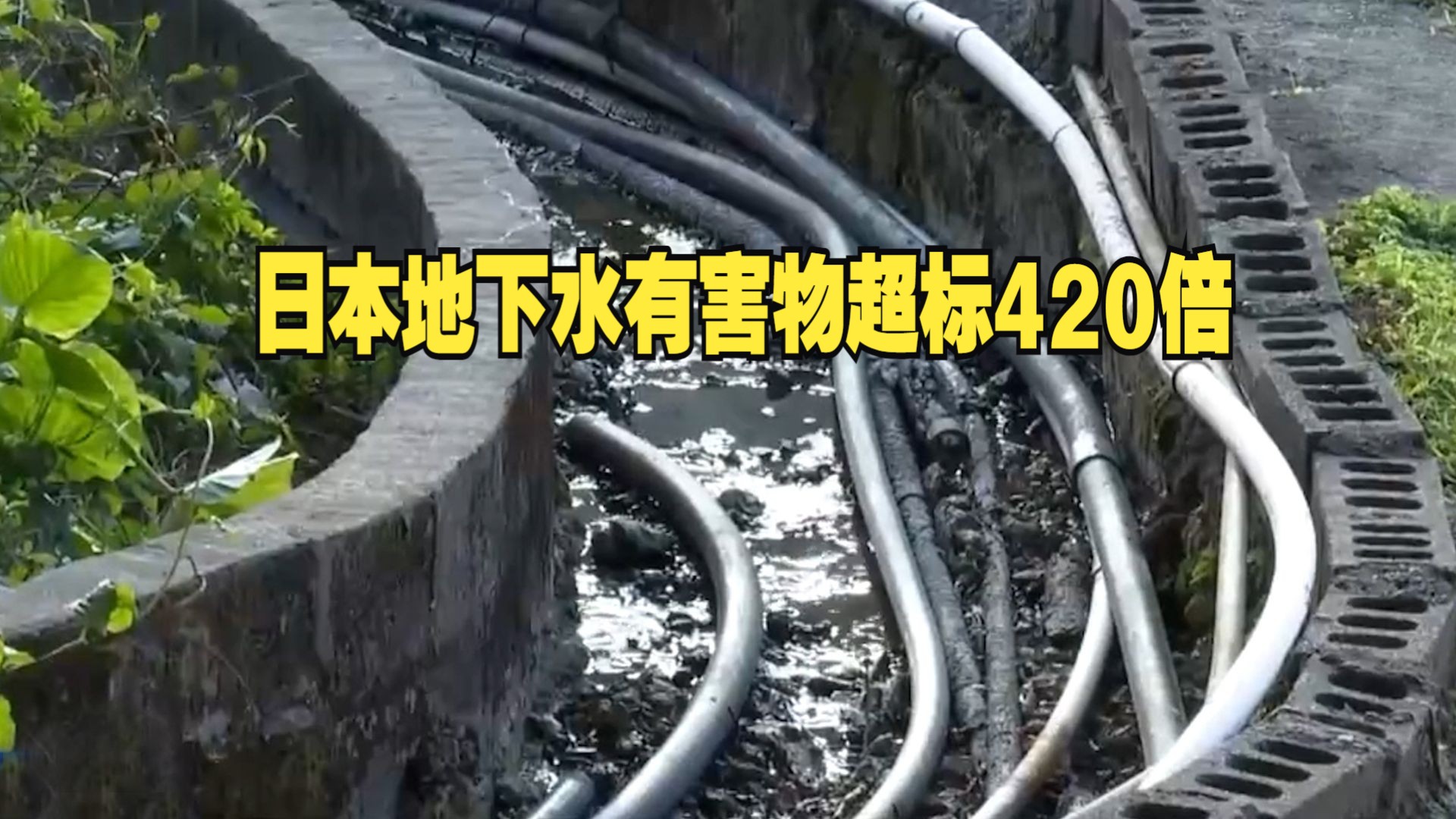 日本地下水有害物超标420倍