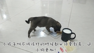 72aaac1ab39a12e3914285bfd318c1ad65a11bb6.jpg@310w_174h_1c_100q.jpg