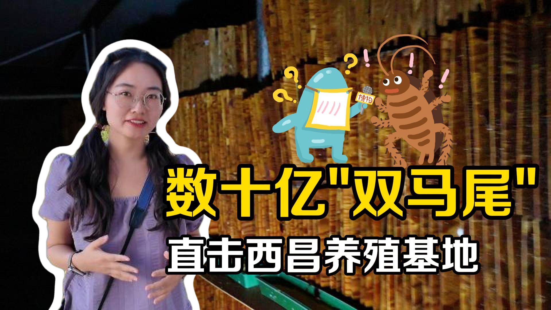 我们不能没有蟑螂！！！【走进博物】
