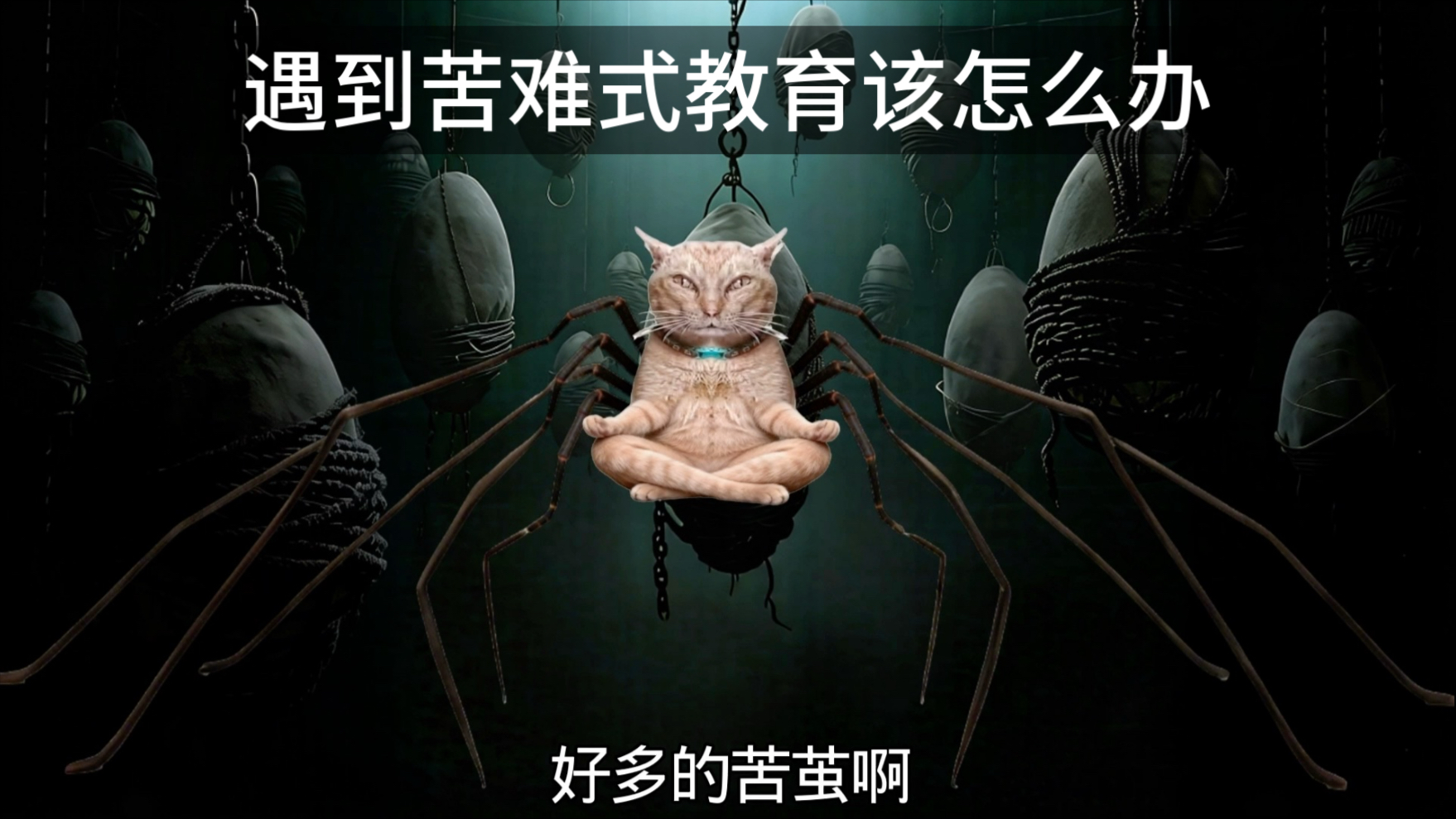 不要………苦难式教育呀…………
