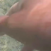 vlog美食记 荒岛生活第15天