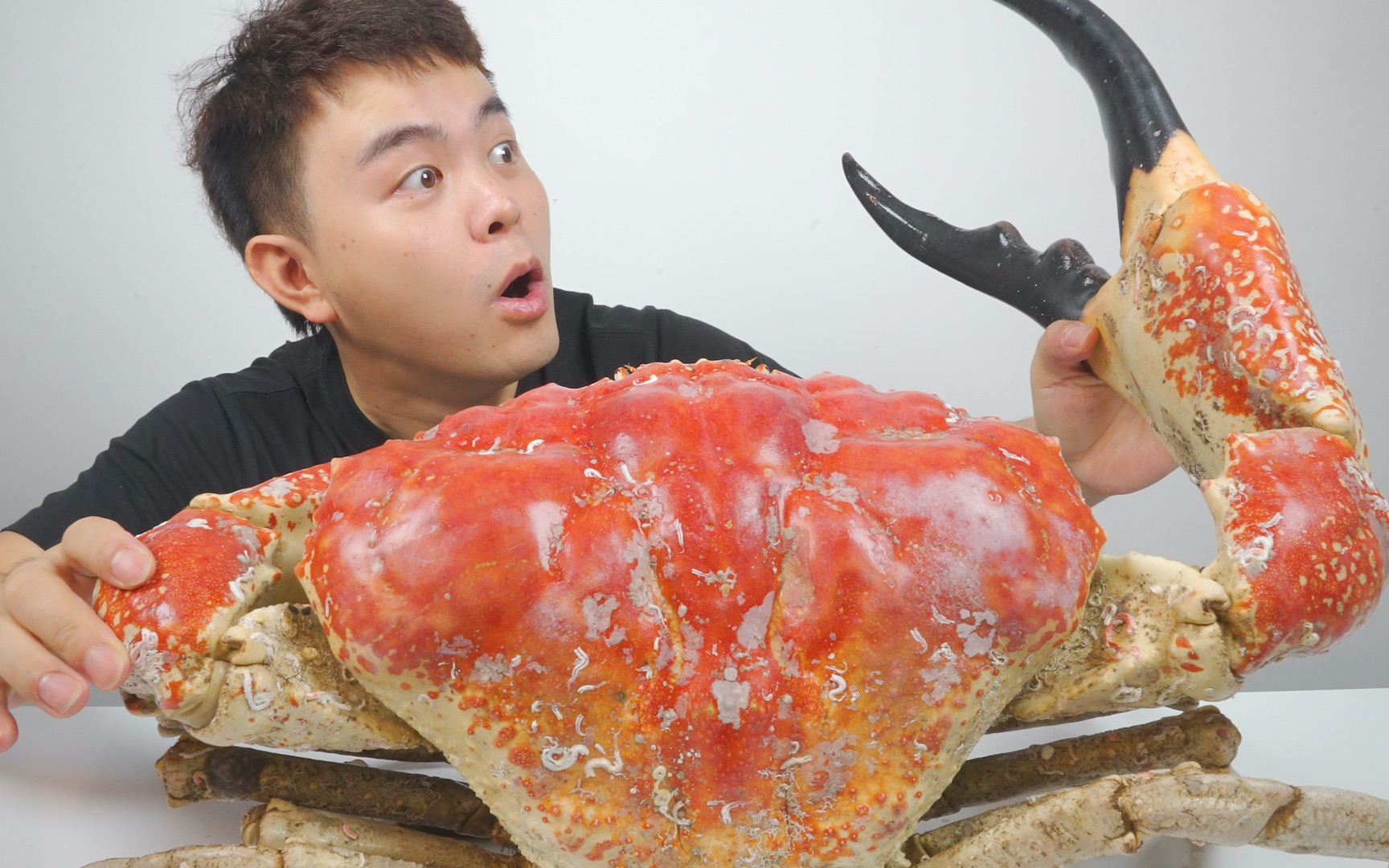 终极试吃记录，全网最大的皇帝蟹，整整18斤一个钳子就吃饱了