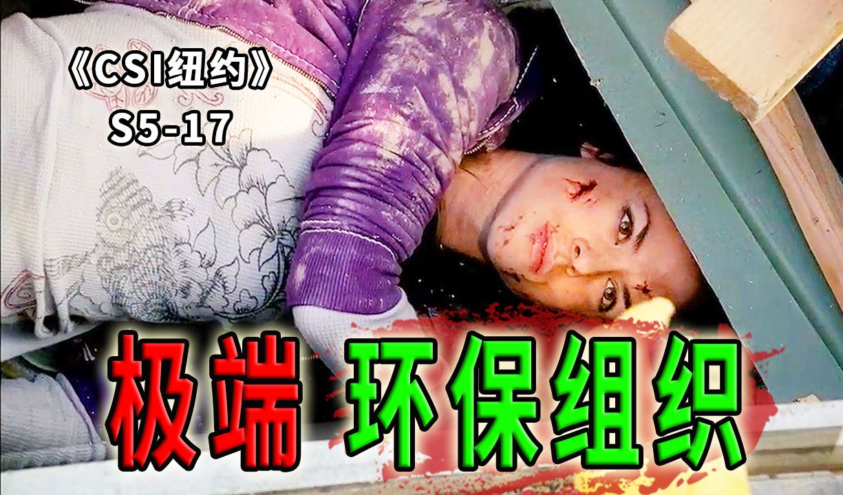 不环保就炸你房子杀你女儿，恐怖组织直呼内行！《CSI纽约》S5-17