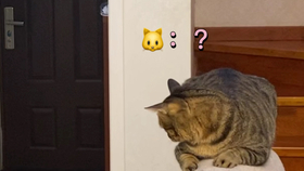 7308a09e0f5c6826a5f8476db44206383770fc78.jpg@280w_158h_1c_100q.jpg