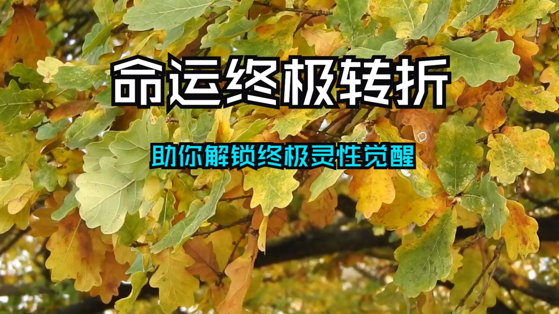 天选者的命运终极转折已然降临！宇宙紧急召唤已无法隐藏，高维能量全力倾注加持，助你解锁终极灵性觉醒，改写人生轨迹！