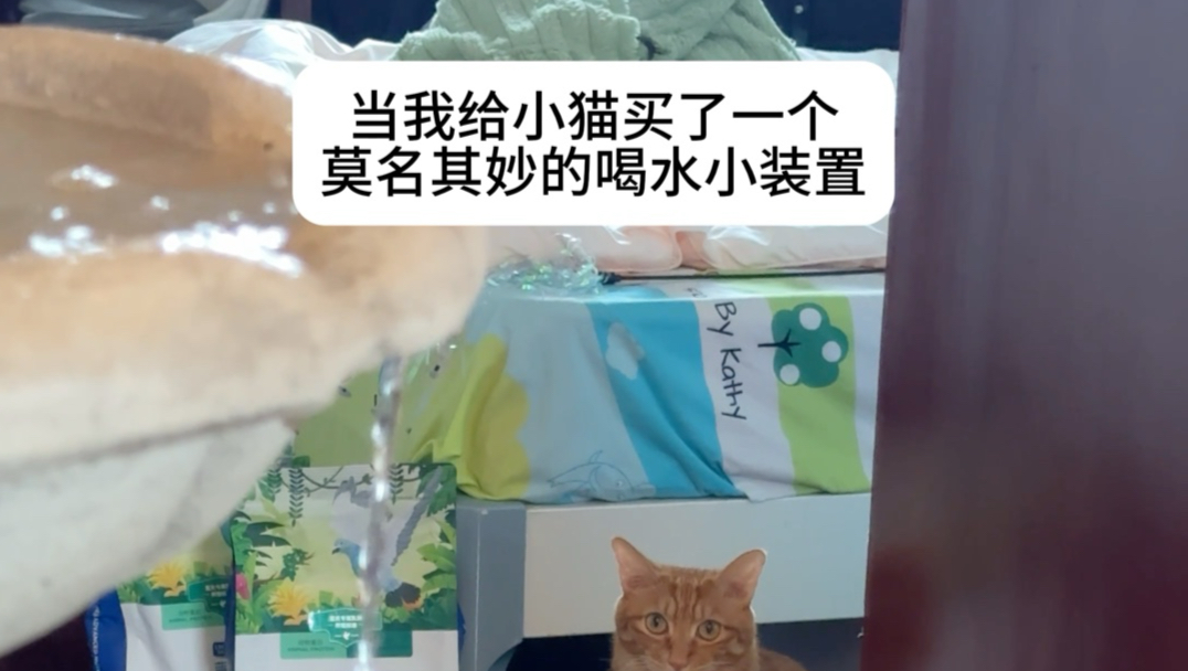 肖茂，使劲儿喝吧