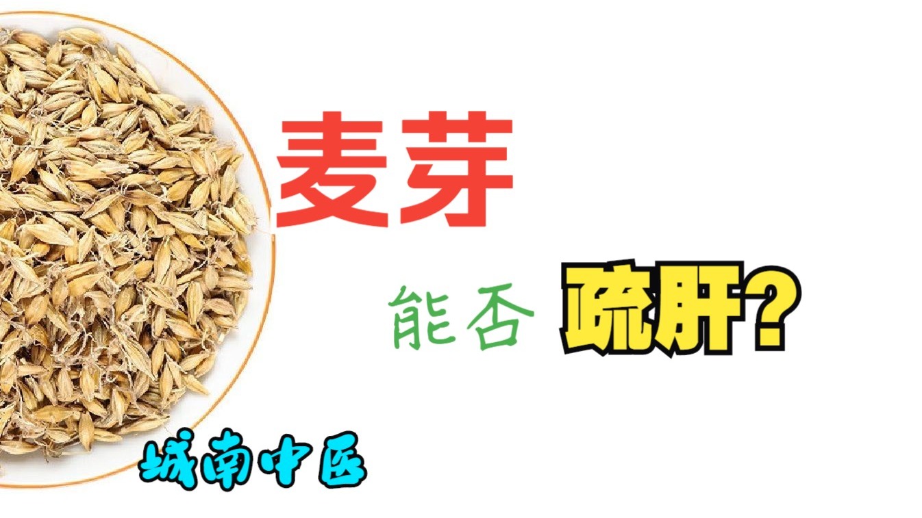 麦芽，能否疏肝？