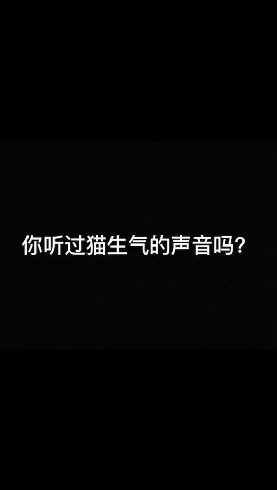 你听过猫咪生气的声音么。