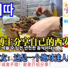 韩国博主分享自己的西安之旅，韩国网友：这是一个绝对迷人的地方