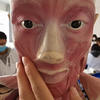 医学生带你看人体内脏，人体解剖实训课