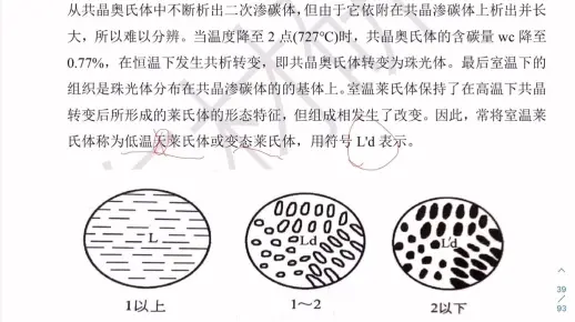 东北大学材料专硕共晶白口铁和亚共晶白口铁的平衡结晶过程及其组织详解