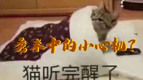 734e84a778cb9ce5a6ee7b83df404d4329bf8843.jpg@280w_158h_1c_100q.jpg