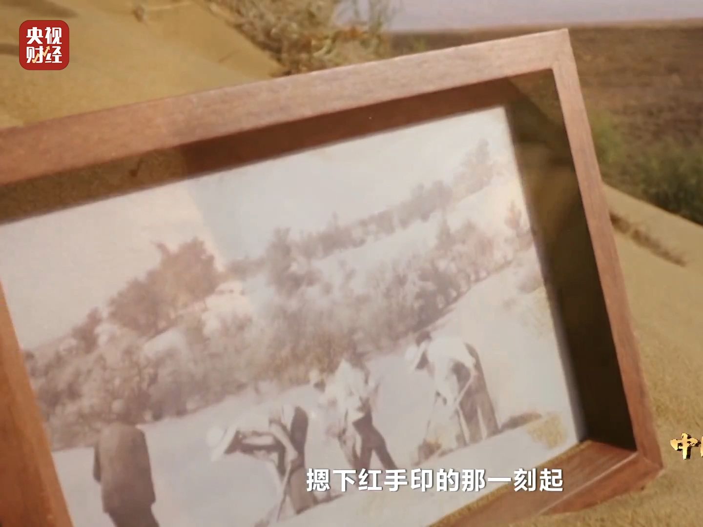 从八步沙看见绿色奇迹 曾经“出门八步就是沙”，如今绿洲美如画！ 中国式现代化之路 绿水青山