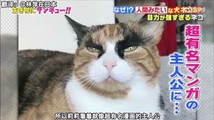 73506e9d0cd3d24ff3a0d995ddaea57818613d43.jpg@310w_174h_1c_100q.jpg