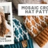 【钩针编织】马赛克提花帽子编织视频教程 Modish Mosaic Hat Crochet Pattern