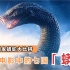 盘点电影中七个国家大蟒蛇，哪条是真正的蛇中之王？