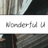 【钢琴】Wonderful U（Demo Version）AGA 钢琴版