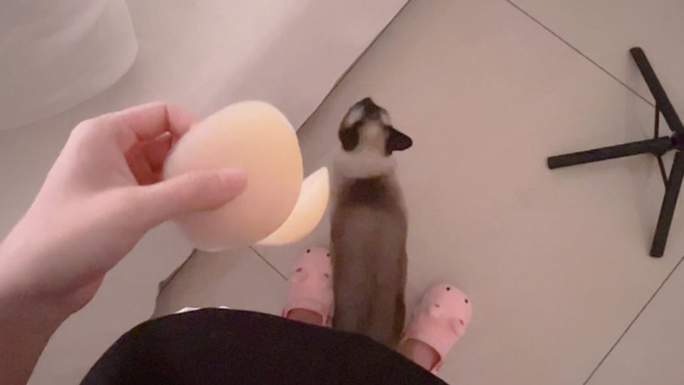 出门倒垃圾这个东西就掉了