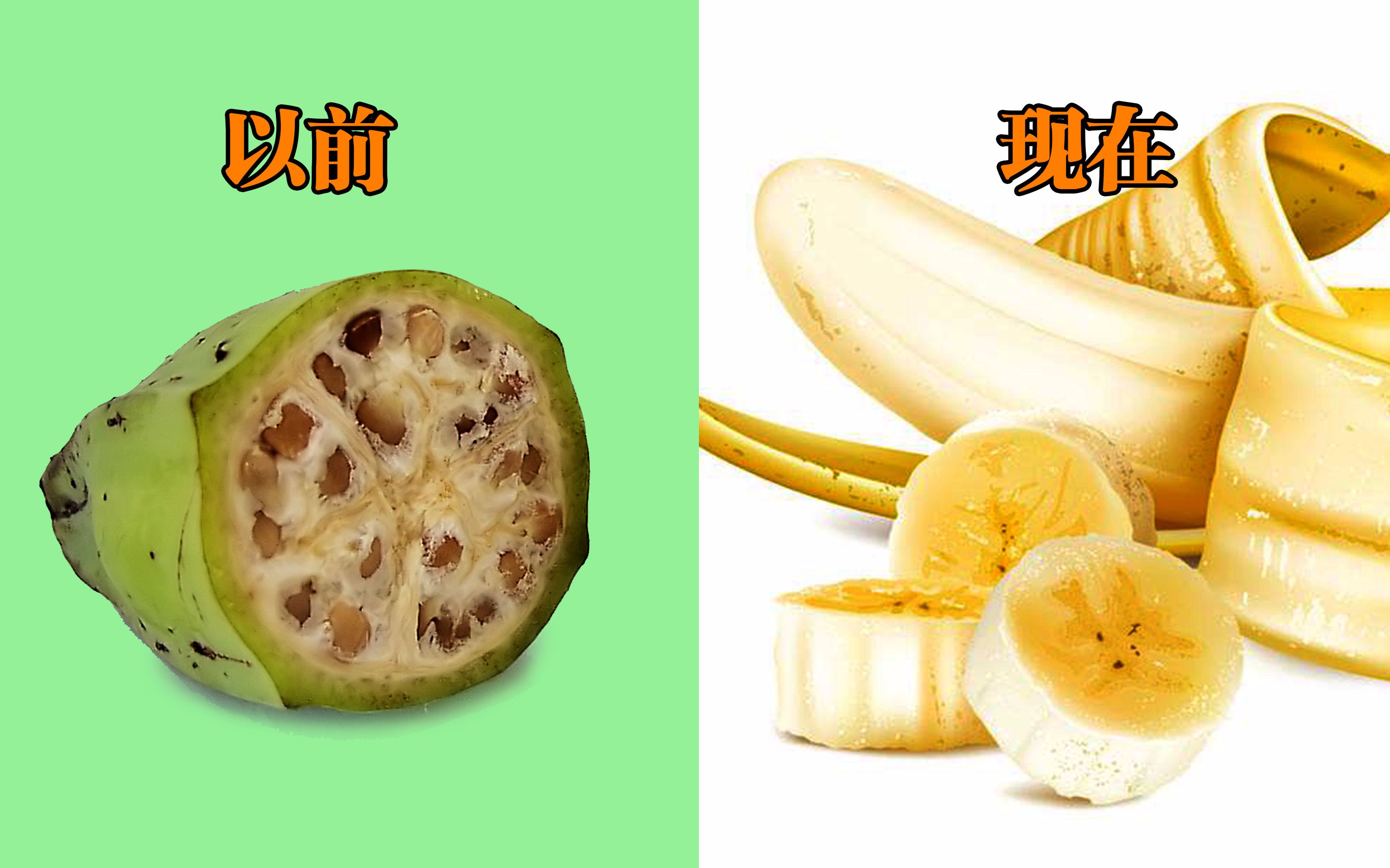 最好吃的香蕉种类有哪些，如何区分香蕉的种类与口感 - 哔哩哔哩