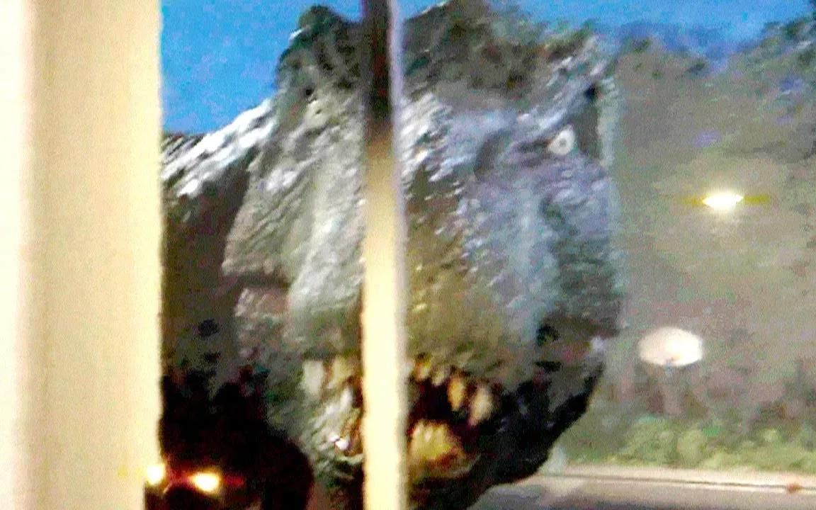 圣地亚哥恐龙袭击事件（找到的镜头）