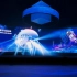 裸眼3D 现场实拍 “2022年第十四届中国（绵阳）科技城国际科技博览会开幕式”开场秀