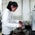 Vlog.1 实验室美食之酸奶の制作