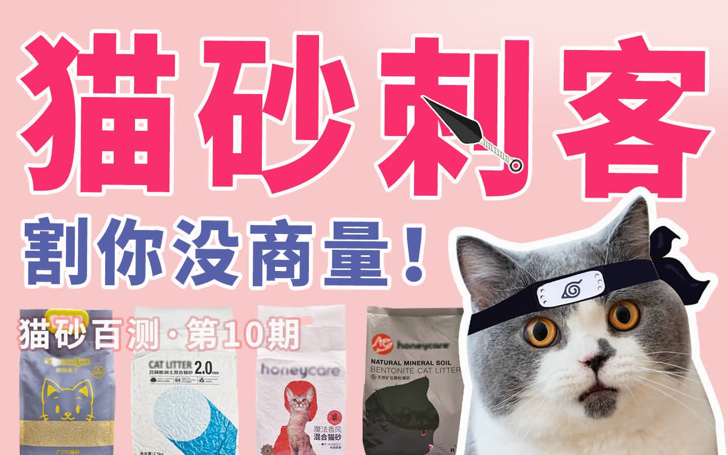 猫砂刺客！猫砂百测10-小米猫砂honeycare好命天生瑞梦迪