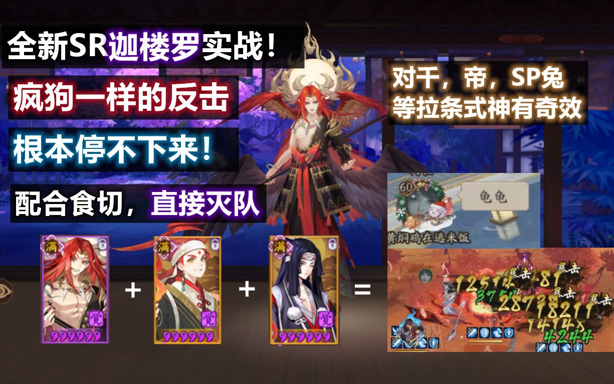 【阴阳师】全新SR 迦楼罗：配合食切，直接灭队！对千，帝等拉条式神奇效，疯狗一样的反击根本停不下来！